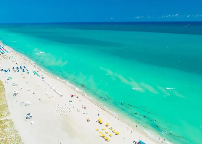 W South Beach